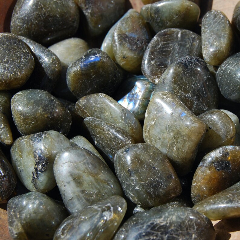 1/4 LB BULK Medium Unakite Tumbled Stones Natural Crystal .75 to 1.25" Wholesale 1/4 LB BULK Medium Unakite Tumbled Stones Natural Crystal .75 to 1.25" Wholesale