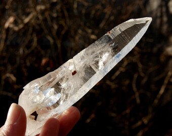 コロンビア産 レムリアンシードクォーツ N1210 コロンビア産 レムリアンシードクォーツ N1210