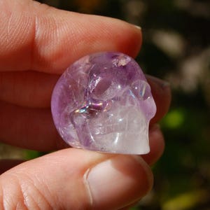May include: A small, carved amethyst skull with iridescent details. The skull is a light purple color and has a translucent quality.