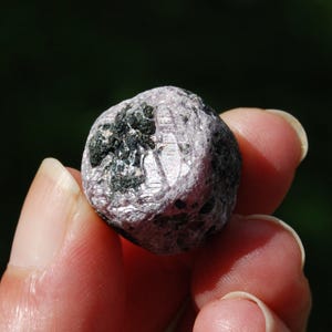May include: A close-up of a small, rounded, pinkish-gray mineral specimen. The stone has a rough, textured surface with dark green and black inclusions. The mineral is held between fingers against a blurred green background.