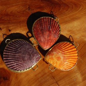May include: Three scallop shells in shades of deep purple, reddish-brown, and bright orange, each encased in a thin gold-toned metal frame with small circular loops attached to the edges, arranged in a triangular formation on a wooden surface.