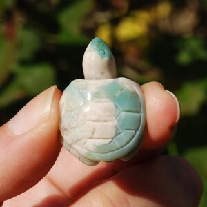 1in RARE Green Sakura Flower Agate Crystal Turtle Carving, Madagascar i17