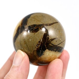 2in 181g Septarian Stone Crystal Sphere, Madagascar
