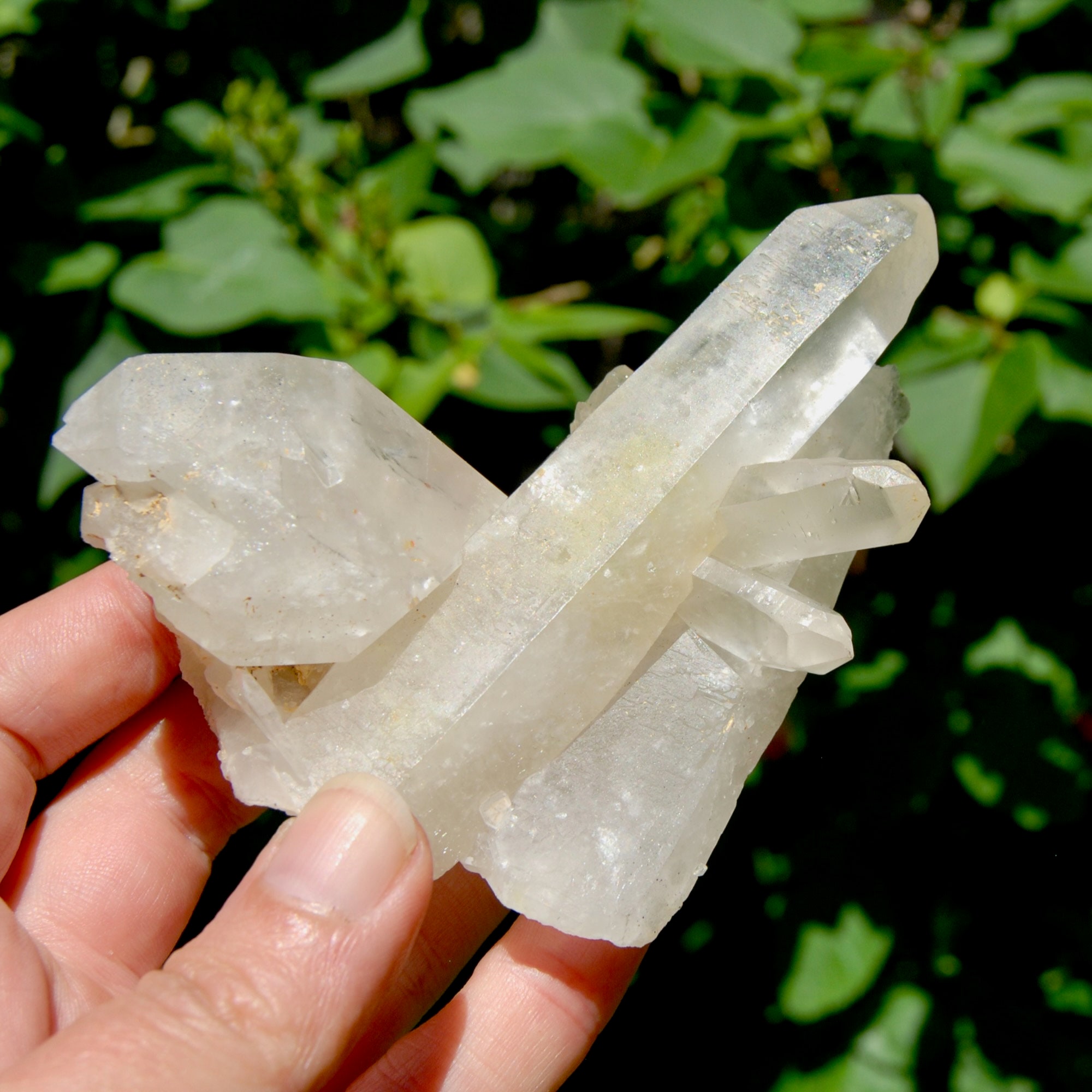 4個入り 235g 天然イシスフェイス ゴールデンヒーラー クリアクォーツ