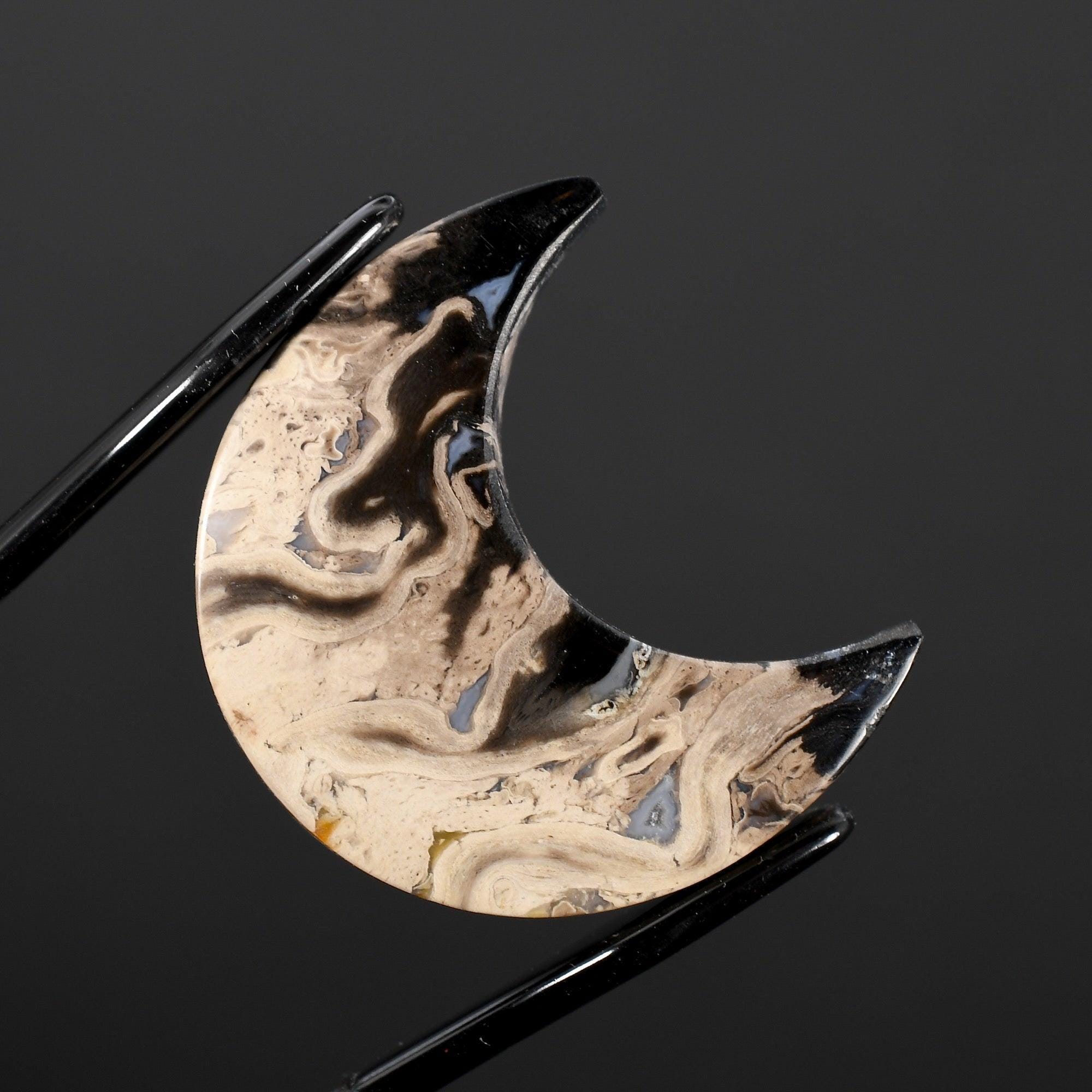 28mm Fossilized Palm Root Moon Cabochon, Intricate Fossil Palm Root Moon Cab, Indonesia k11