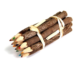 Branch Pencil Bundle 5 Inch Lengths 1 Dozen Colored Pencils Novelty Decorative