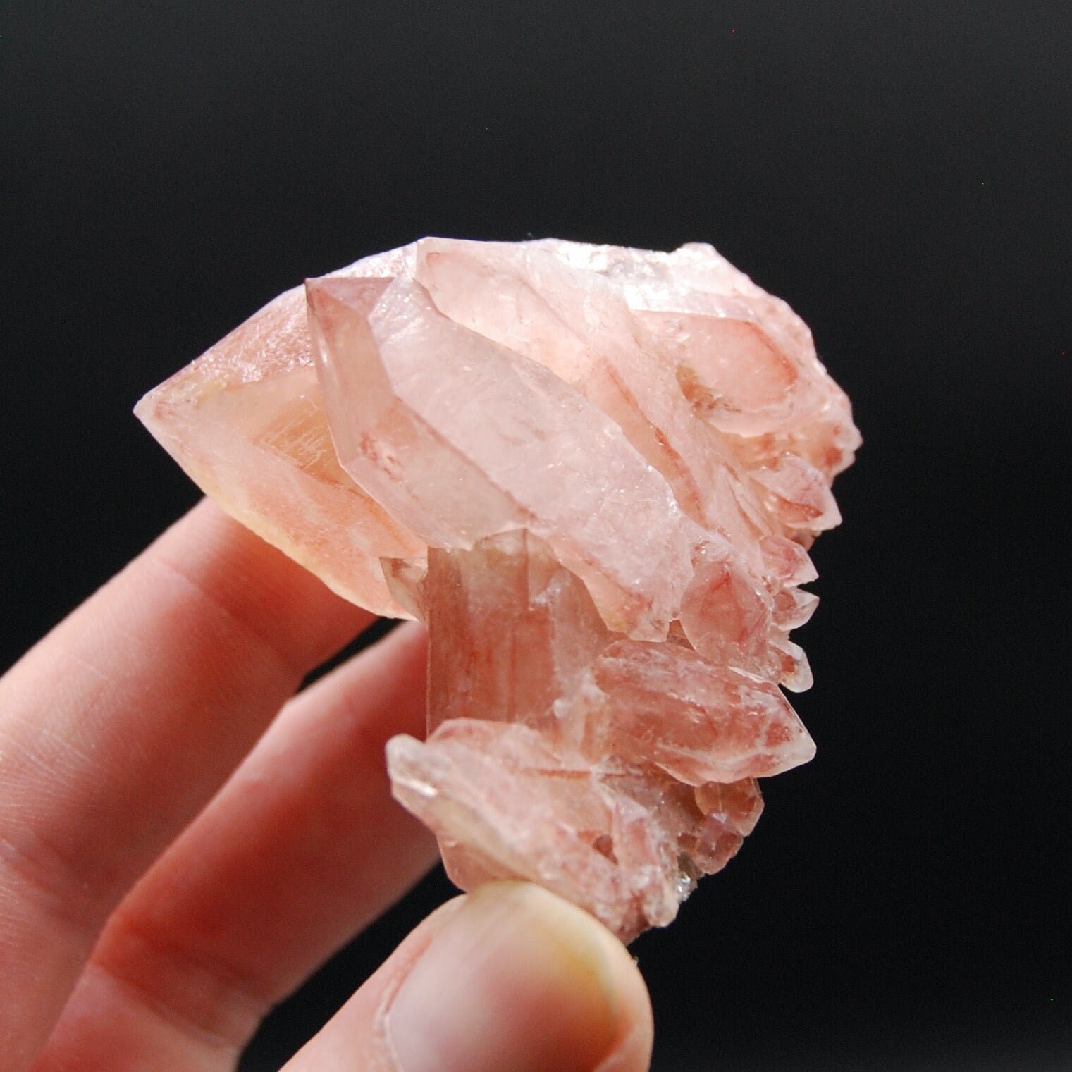 ストロベリーピンクのレムリアンクォーツクリスタルクラスター