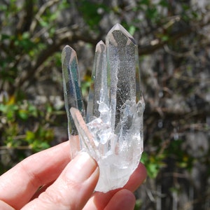 3in 74g Cosmic Dow Channeler Lemurian Silver Quartz Crystal Starbrary Cluster Optical Corinto, Brazil