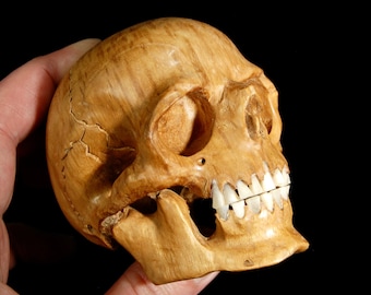Wooden Skull Carving – 3in Realistic Human Skull, Hand Carved Wood, Bone Teeth Sculpture, Skull Statue Gift, Gothic Decor, Made in Bali