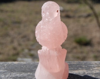 5.5in 1.2lb Large Master Carved Rose Quartz Crystal Parrot - Etsy
