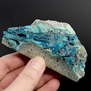 May include: A rough, natural piece of turquoise with a blue and green color pattern. The turquoise is embedded in a gray matrix.