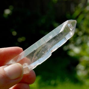 7 x 31g Inneres Kind Penetrator Lemurian Samen Quarz Kristall Starbrary, Brasilien