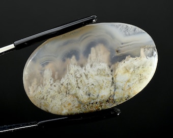 Cabochon ovale in agata muschiata bianca da 37 mm, Indonesia g25