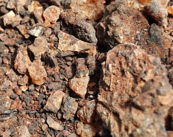 Incienso de resina de mirra dulce, 1 onza