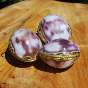 May include: Three decorative shell-shaped trinket boxes. The boxes are white and purple with gold-colored metal trim. The boxes are arranged on a wooden surface. The boxes have a hinged lid and a clasp.