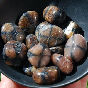 ONE Chiastolite Tumbled Stone, Andalusite Crystal, Spain