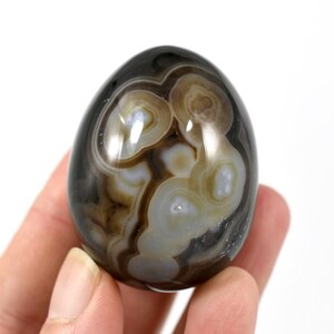 May include: A polished agate egg with brown, gray, and white banding. The egg is smooth and has a glossy finish.