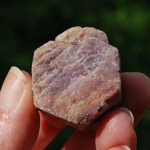 May include: A rough, uncut ruby gemstone with a pinkish-red hue. The natural stone has a textured surface with visible mineral inclusions. The ruby is held between fingers against a blurred green background.