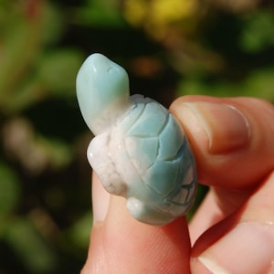1in RARE Green Sakura Flower Agate Crystal Turtle Carving, Madagascar i18