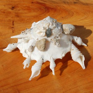 May include: A handcrafted decorative crab made from a large white seashell, adorned with smaller shells, pebbles, and stones. The crab has multiple shell legs and is set against a warm, wooden background.