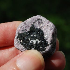 Puede incluir: Primer plano de una gema en bruto sin cortar. La piedra tiene un exterior de color púrpura claro con un interior negro y blanco oscuro. La gema se sostiene en la mano de una persona, con un fondo verde borroso.