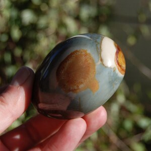 2.75in 189g Polychrome Jasper Crystal Palm Stone, Blue Yellow