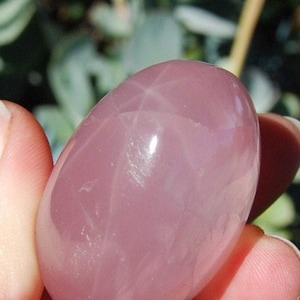 May include: A smooth, pale pink, oval-shaped gemstone with a star-like pattern inside. The stone is polished and has a glossy finish.