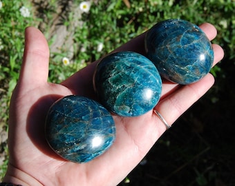 ONE Natural Gemmy Apatite Crystal Palm Stone, Many Sizes, Madagascar