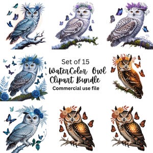 Aquarell Eulen Bundle, 15 Blumen Eule PNG Set, niedliche Fantasy Eulen mit Schmetterlingen, Mond Nacht Eulen Kunst, magische Waldvogel Illustrationen