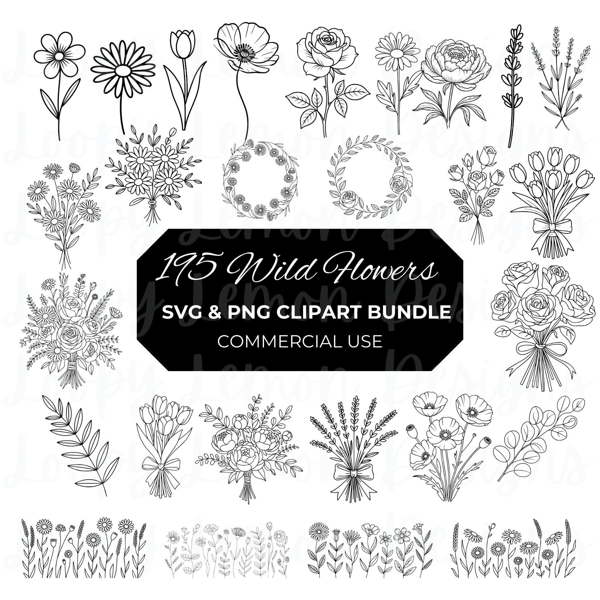 Wildflower SVG PNG Bundle, Line Art Floral Clipart, Botanical Flower ...