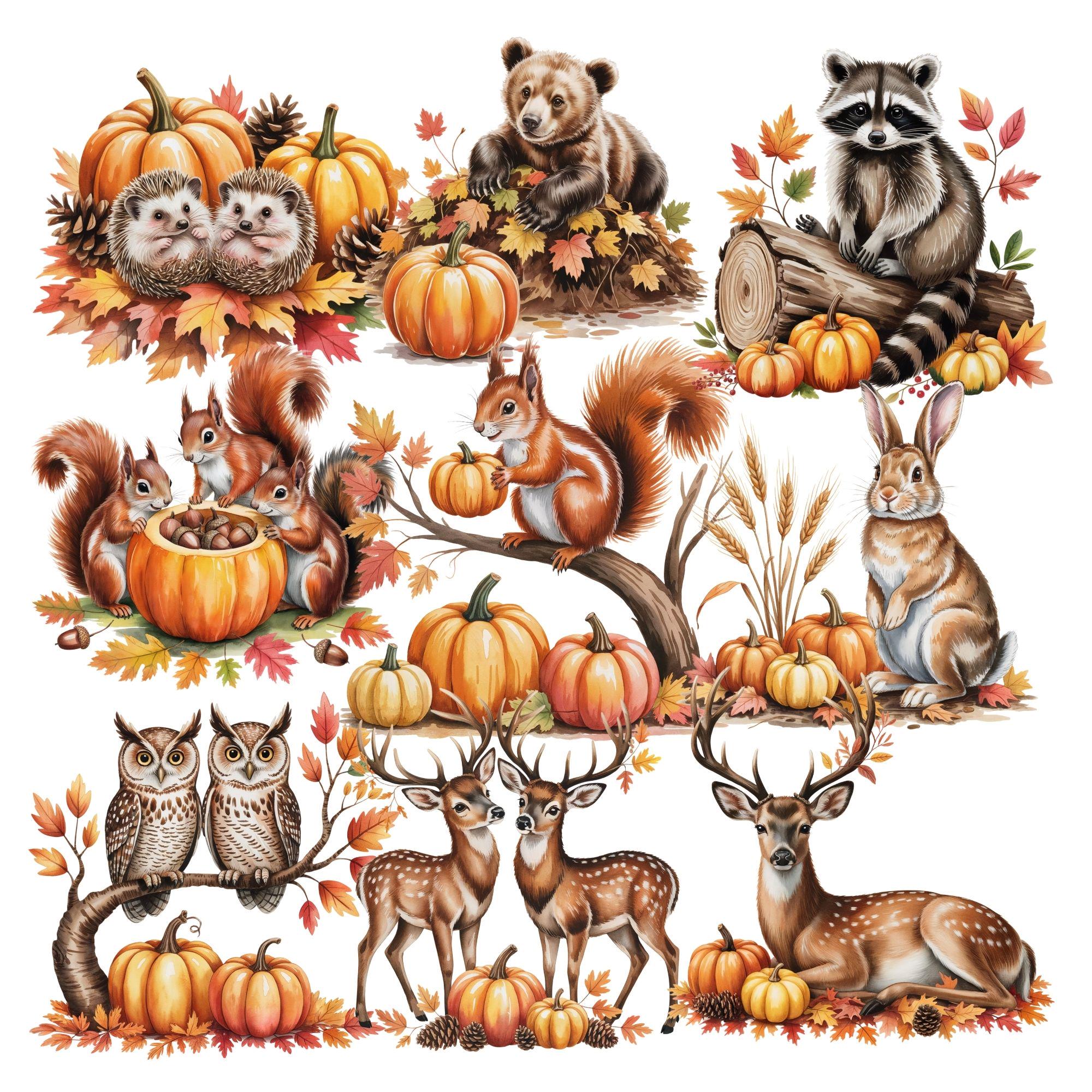 24 Fall Woodland Animals PNG Clipart, Pumpkin Forest Animals PNG, Cute ...