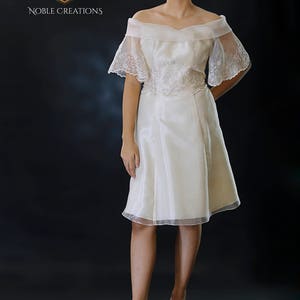 FILIPINIANA Dress BARONG TAGALOG Philippine National Costume Embroidered Silk Organza Beige image 2