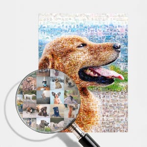 Dog Memorial Photo Collage: Custom Pet Loss Gift