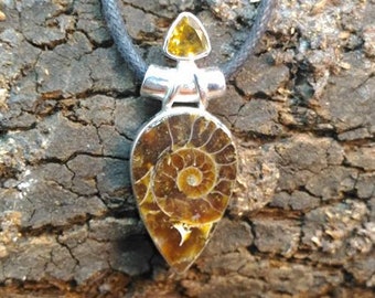 High Vibrational Moroccan Ammonite Fossil & Citrine 925 Silver Pendant