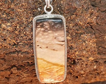 High Vibrational Petrified Palm Root 925 Pendant