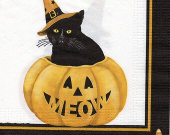 244 HALLOWEEN CAT