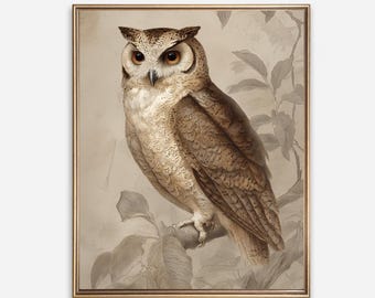 Vintage Owl Print – Antique Bird Illustration Wall Art for Wisdom & Nature Lovers, Cottage Wall Decor, (Digital Printable Download)