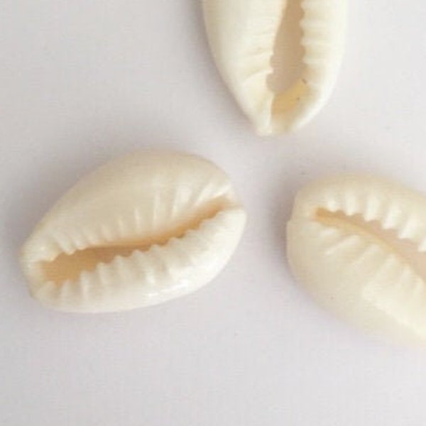 Set of 3 natural white cowrie shells 9x15 mm