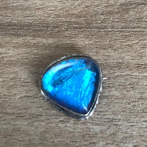 May include: A silver-toned brooch featuring a triangular blue butterfly wing design.