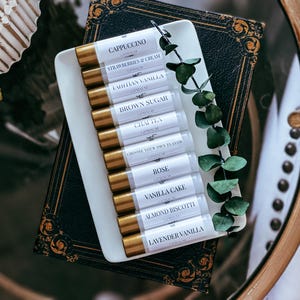 All Natural Lip Balm: Organic Shea & Cocoa Butter, Assorted Flavors