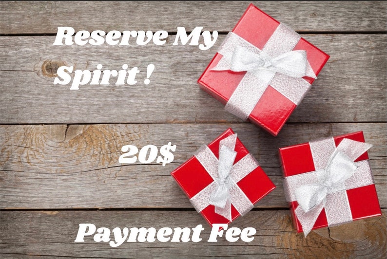Spirit Reservation Payment Fee image 1