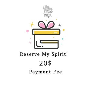 Spirit Reservation Payment Fee - 20 Dollar
