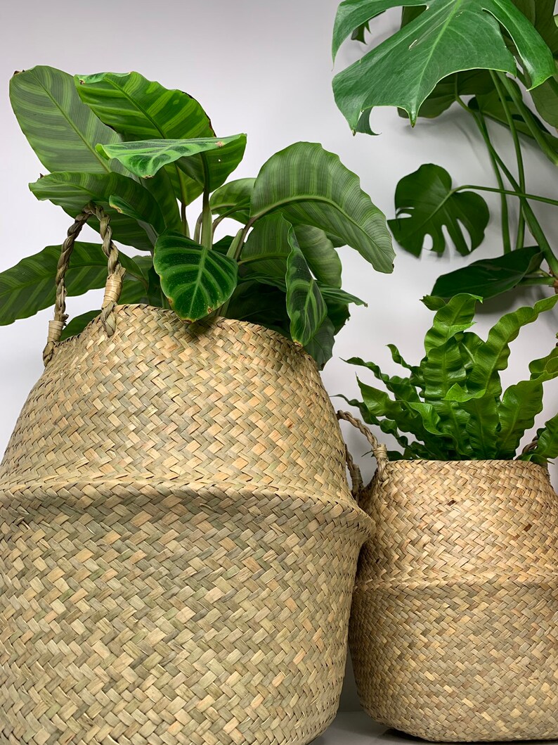 Handwoven Natural Seagrass Belly Baskets Storage Plant Etsy