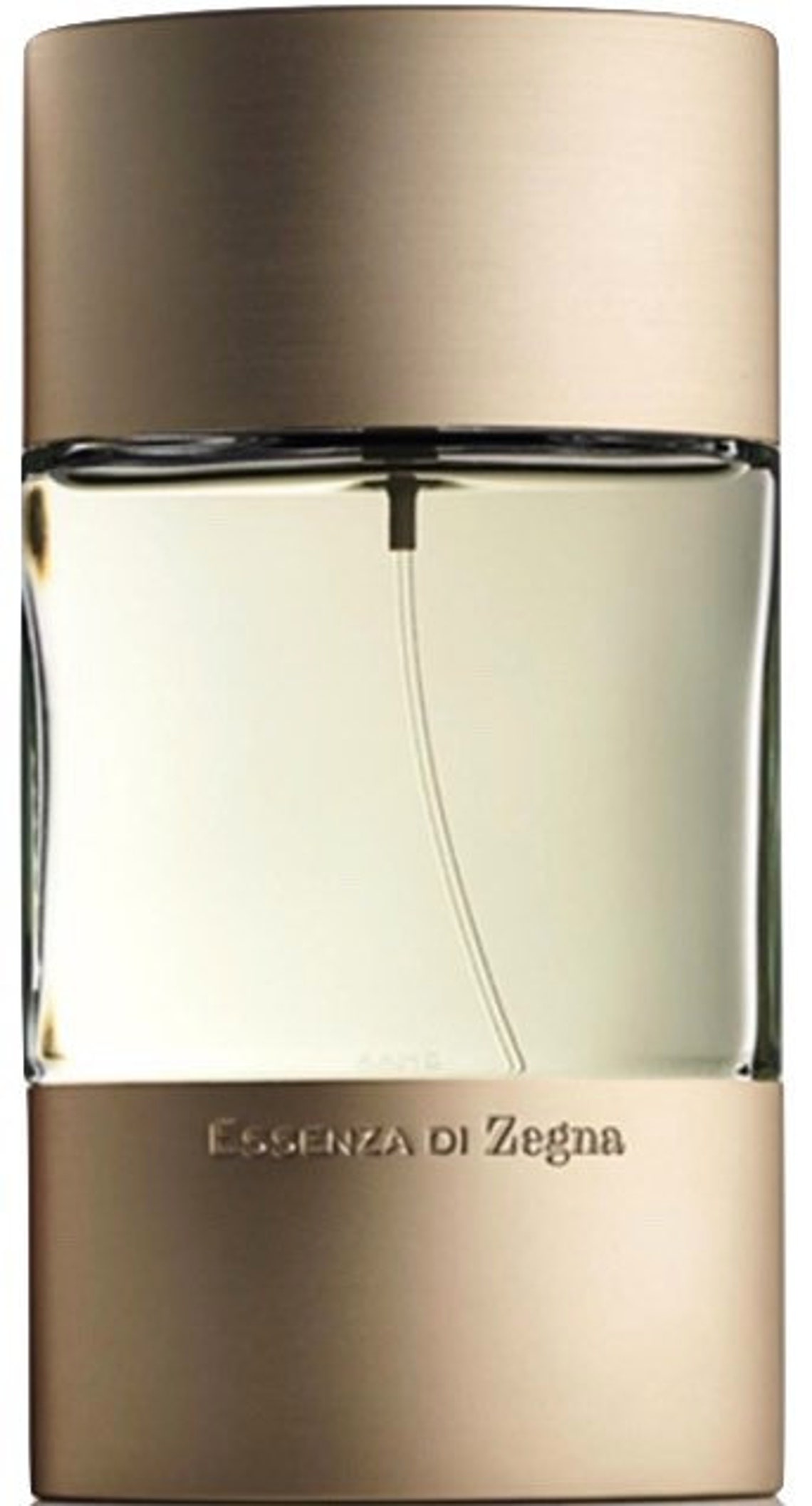 Essenza Di Zegna by Ermenegildo Zegna 3.3 oz 100 ml Eau De Etsy
