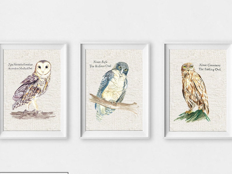 Australische Blaffende UIL Print Vogel Aquarel Dier Kwekerij Etsy Nederland