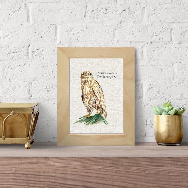 Australische Blaffende UIL Print Vogel Aquarel Dier Kwekerij Etsy Nederland