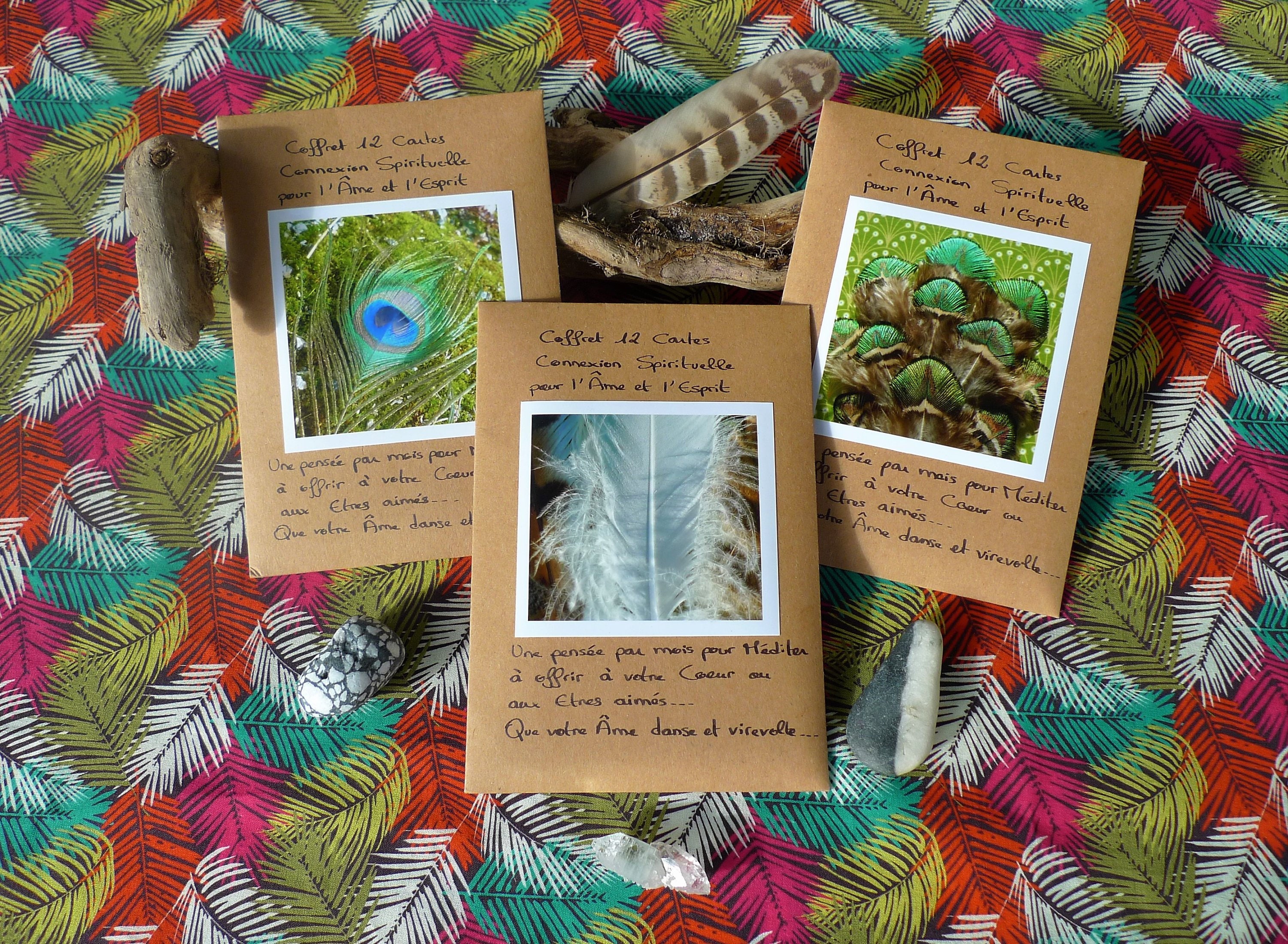 Coffret 1 Connexion Spirituelle Énergies Guérison Méditation 12 Cartes Photos Citations/Cartes de Vœ