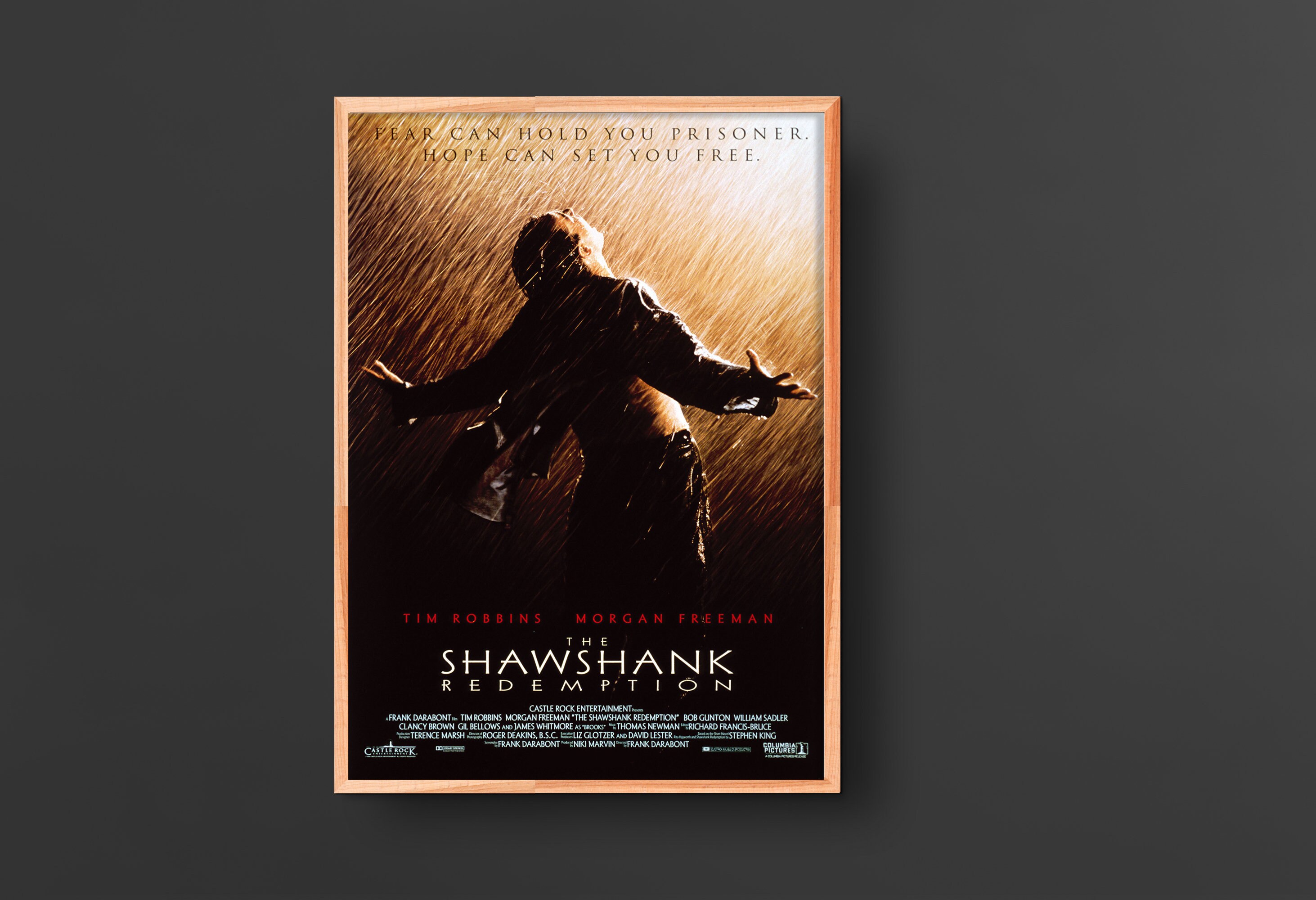 Shawshank Redemption Movie Poster 1994 Etsy