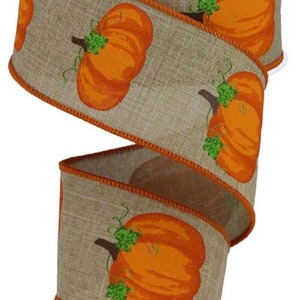 FREE SHIPPING - 10 Yards - 2.5&quot; Wired Natural Background Orange Fall Pumpkin Ribbon