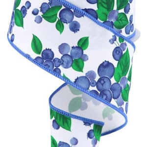 FREE SHIPPING - 10 Yards - 2.5&quot; Wired Spring Blueberry Ribbon Background - Fruit Ribbon
